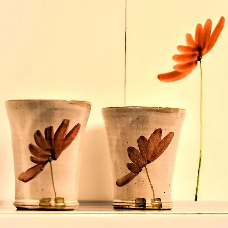 Nahe Ostsee Graal Mueritz Апартаменты *